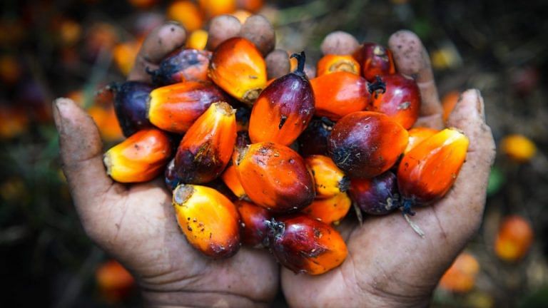 Why Modi govt push for atmanirbharta in palm oil production could come at a cost to environment