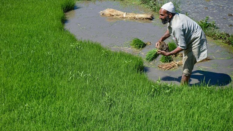 Indian farmers need a new distress index. Just suicide data won’t do
