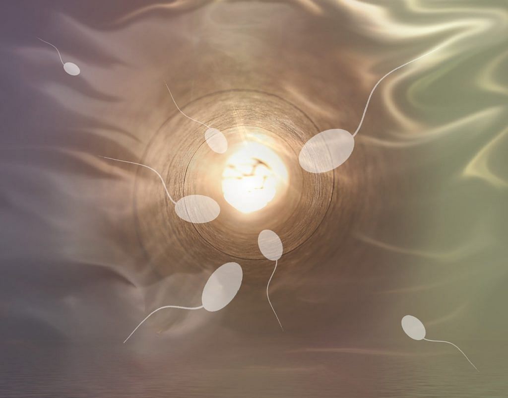 Representational image | Sperms | Pixabay