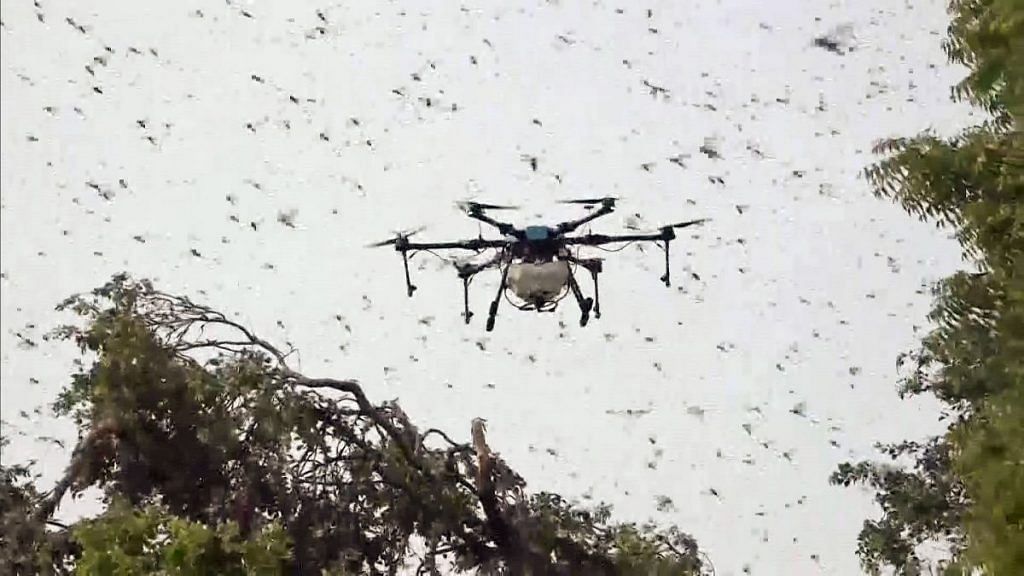 A drone is used to spray insecticides on swarms of locusts in Agra, on 30 June 2021 | Representational image | ANI
