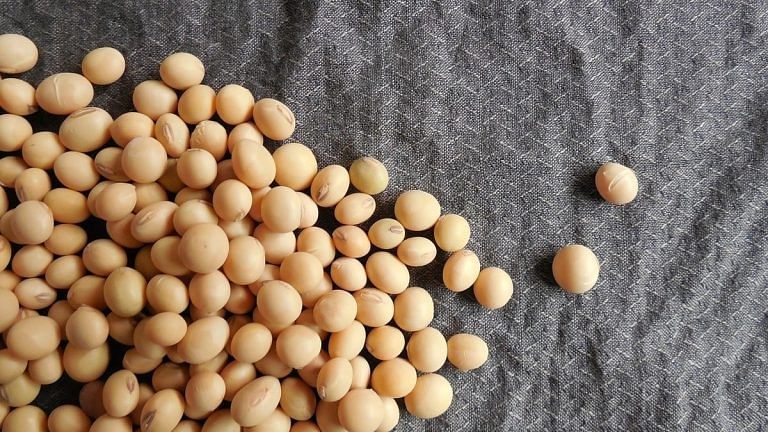 Soybean acreage plunges in top producer Madhya Pradesh amid high seed prices & low rainfall