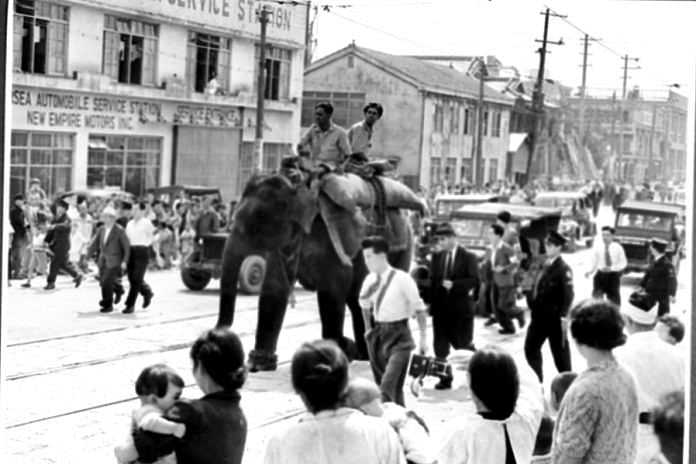 Indira being escorted from the quayside to the warehouse before she was taken to the Tokyo Zoo. | Photo Credit: Public.Resource.Org/Flickr