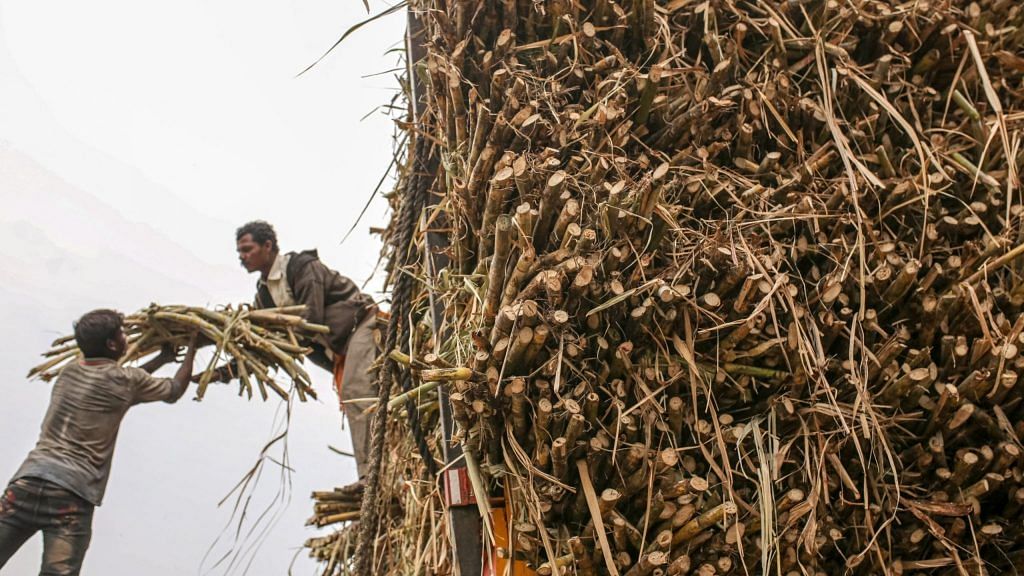 Workers load a bundle of sugarcane onto a truck while harvesting the crop in the Jalana district of Maharashtra, India (File photo) | Bloomberg