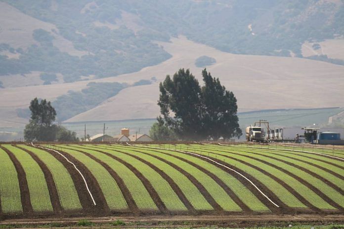 California agriculture