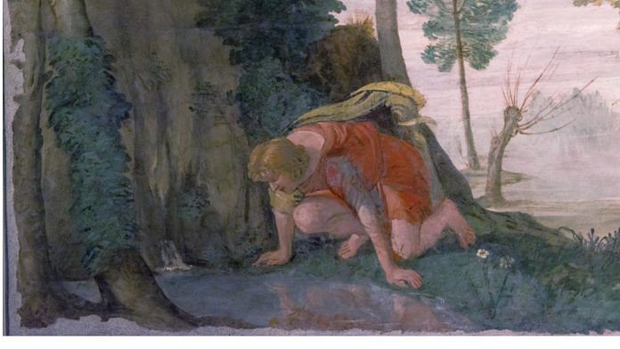The myth of Narcissus | Representational Image| Flickr
