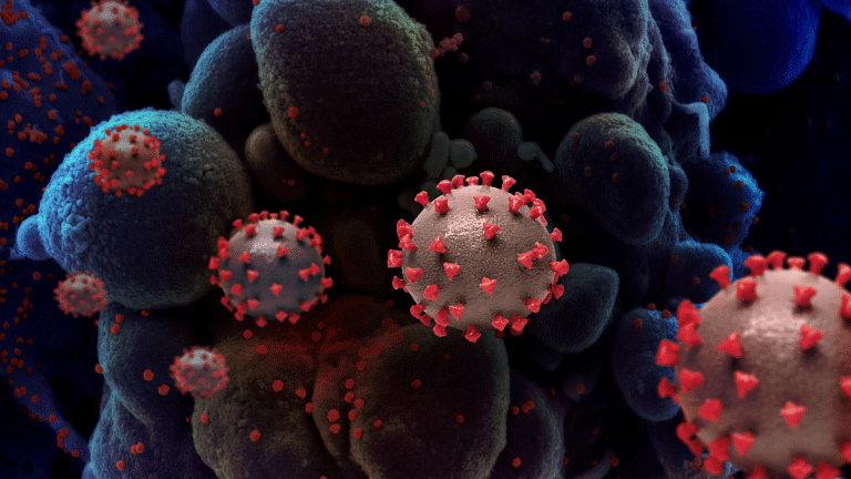 Coronavirus mutated same amount during pandemic as humans since Homo habilis walked earth