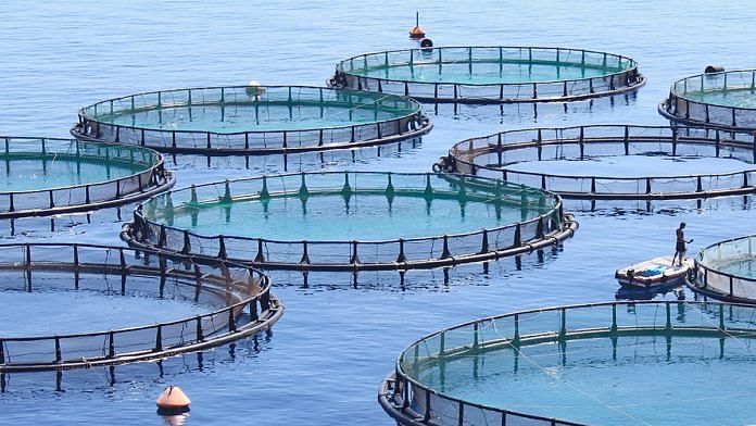 File photo of fish farming | Commons