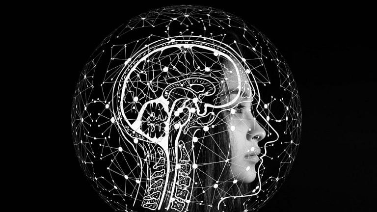 Scientists have found a ‘second brain’. And it’s in your gut