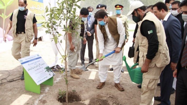 One plant a day keeps Pakistan’s debt away? Why Imran Khan is on a ‘smart forest’ drive