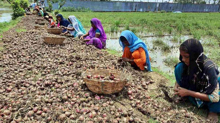 Onion prices set to climb again in September-November, erratic monsoon to blame: Crisil report