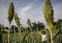 Representational photo | Photographer: Anindito Mukherjee/Bloomberg