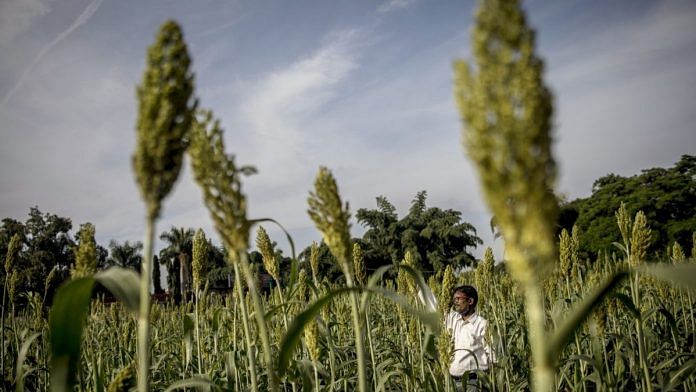 Corporates applying tech in Agri Sector Representational photo | Photographer: Anindito Mukherjee/Bloomberg