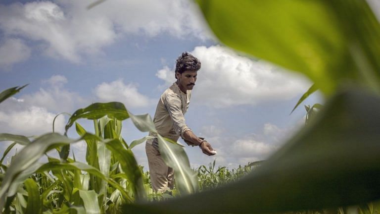 Amazon, Microsoft line up to harness India’s Rs 1.76 lakh crore farm data trove