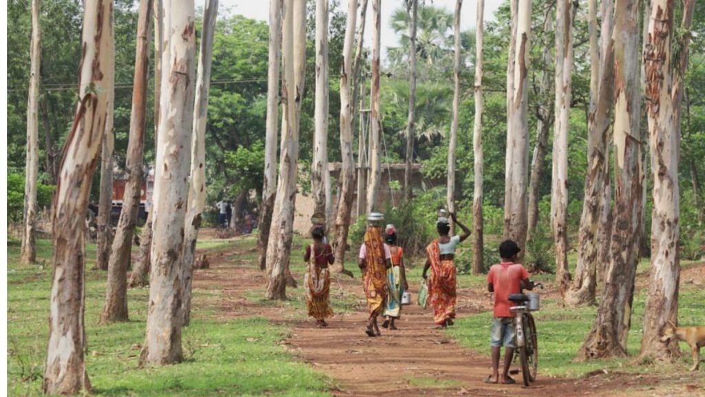 Villages walking between trees while carrying tiffins | Representational image | Manisha Mondal | ThePrint