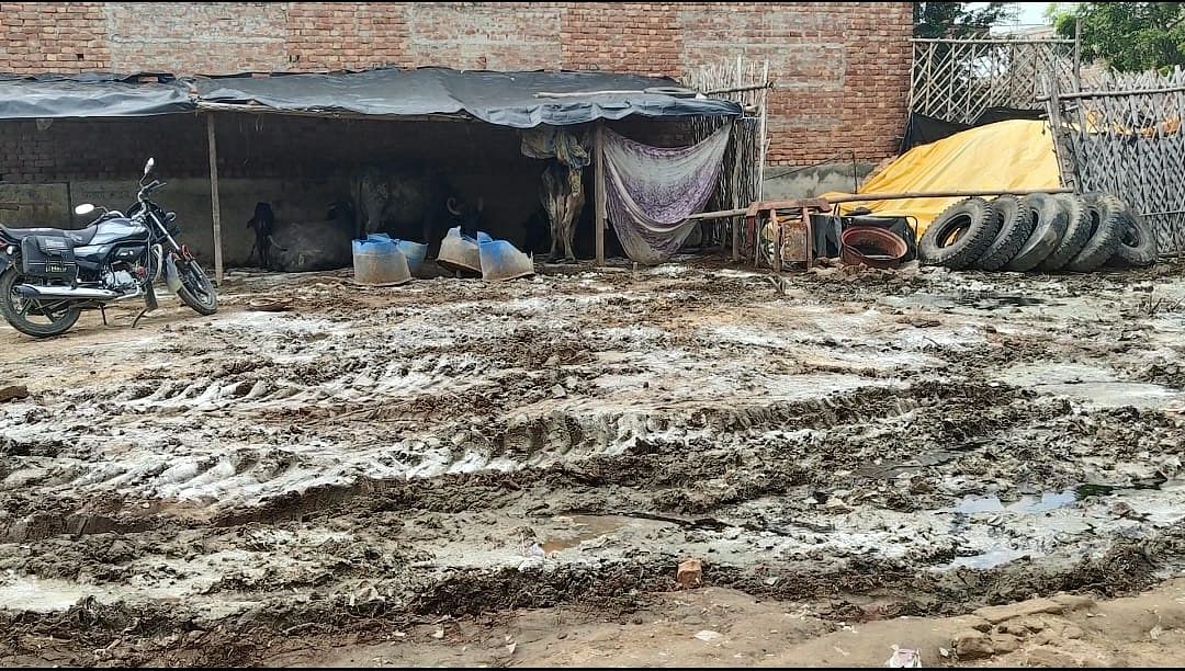 Kutcha roads of Thaarputha reduced to marsh due to rains | Shubhangi Misra | ThePrint