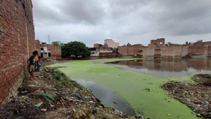 Algae covers water gathered at an empty plot that is also littered with garbage, in Firozabad's Mahadev Nagar | Shubhangi Misra | ThePrint