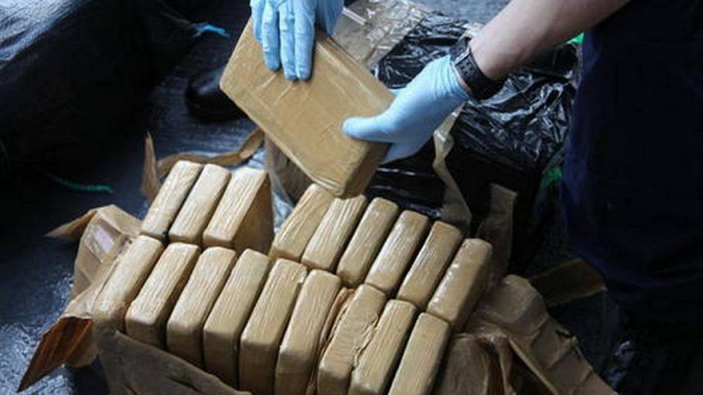 Representational photo of narcotics being seized | Commons