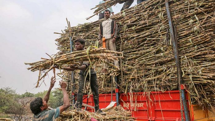 Workers load bundles of sugarcane onto a truck while harvesting the crop in the Jalana district of Maharashtra | Bloomberg