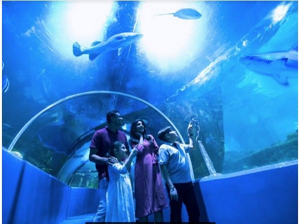 Underwater Tunnel, VGP Marine Kingdom becomes largest walk-through aquarium  in India – ThePrint –