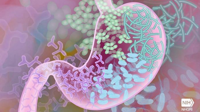 Representative image of Gut Bacteria | Photo Credit: Darryl Leja, NHGRI/Flickr