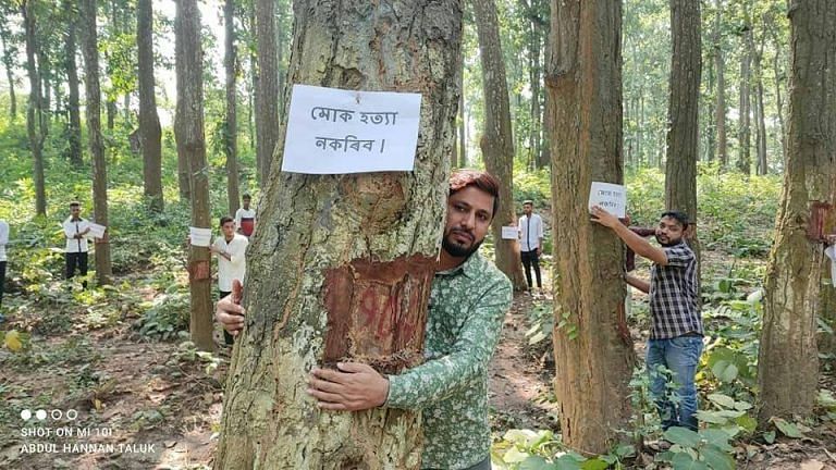 A quiet ‘Chipko movement’ brewing in Assam to stop 6,000 Sal trees from felling