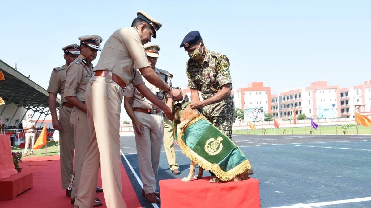 How ITBP 'best dog' Snowy detected IED with 50-kg explosives, saved the day & 25 troopers