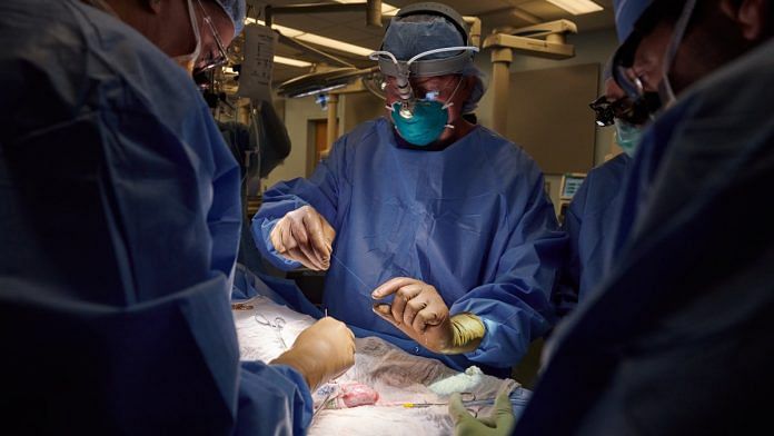 Dr. Robert Montgomery, the H. Leon Pachter, MD, Professor and chair of the Department of Surgery at NYU Langone and director of its Transplant Institute, prepares sutures for use in the xenotransplantation surgery. | Photo: Joe Carrotta for NYU Langone Health