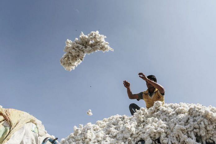 Representational image of cotton market | Dhiraj Singh| Bloomberg