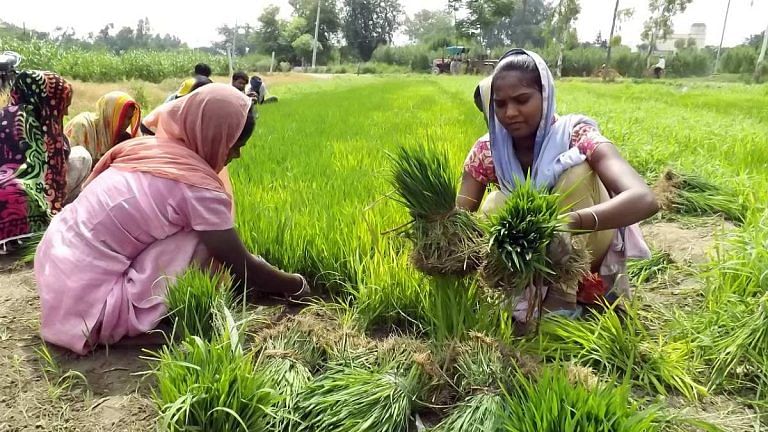 Punjab, Haryana can hedge India against climate-induced food shortages. See data