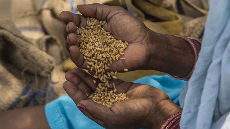 Wheat price rises to near-highest in 13 yrs, bullion up more than 2% due to Russia-Ukraine war