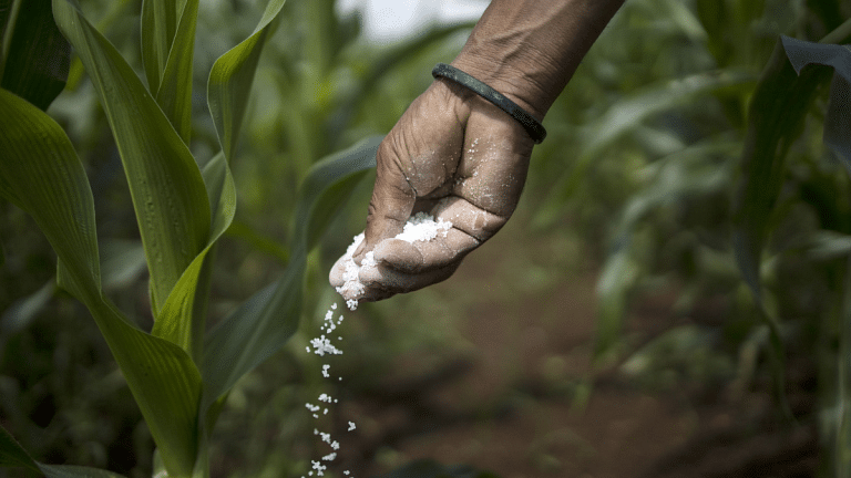 Indian farmers turn to black market for fertilisers as prices soar