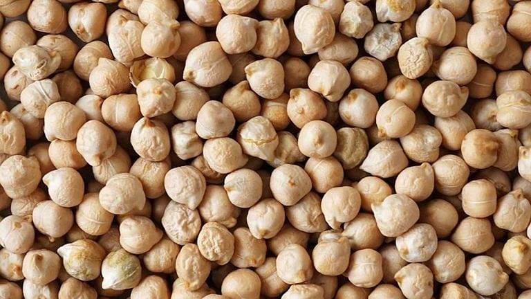 Tastier, more nutritious, climate-resistant chana soon, thanks to study led by India’s ICRISAT