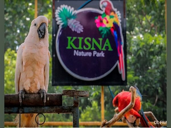 Surat's Kisna Nature contributing to conservation of exotic birds, animals – ThePrint