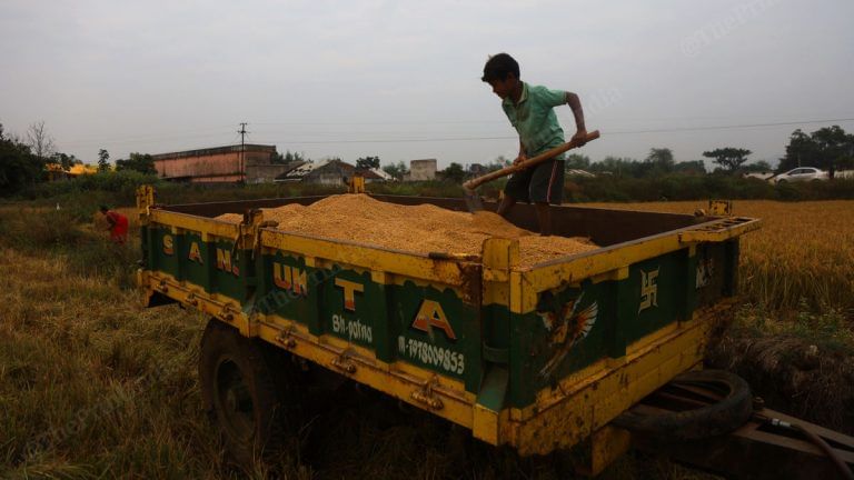 How to climate-proof Indian agriculture through innovation – from fertiliser to farmer networks