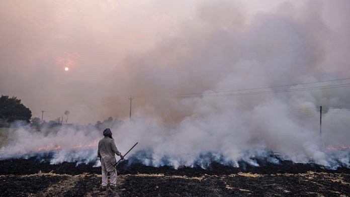 A farm worker monitors the burning of rice crop stubble in the Patiala district of Punjab | Representational image | Bloomberg