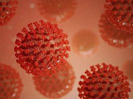 Coronavirus | Representational Image | Pixabay
