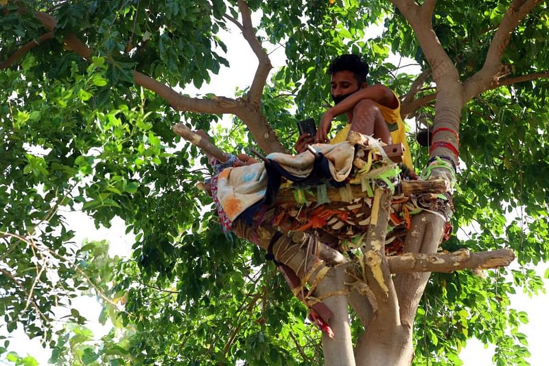 Shiva sits in his makeshift 'Covid isolation ward' — a mattress on a tree, in Nalagonda district, Telangana, in May 2021. Shiva did not have any place to quarantine, he made a home on the top of a tree | Manisha Mondal | ThePrint