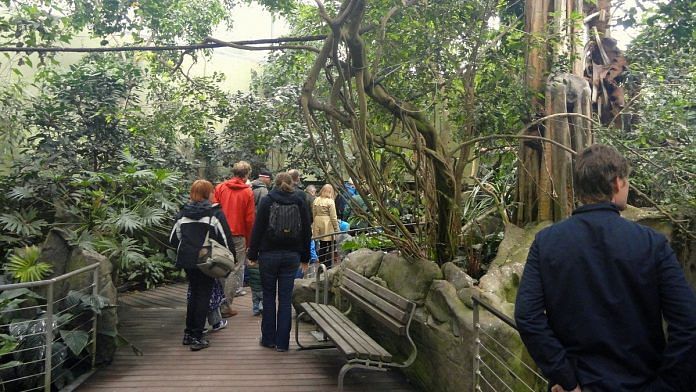 File photo of the Copenhagen Zoo