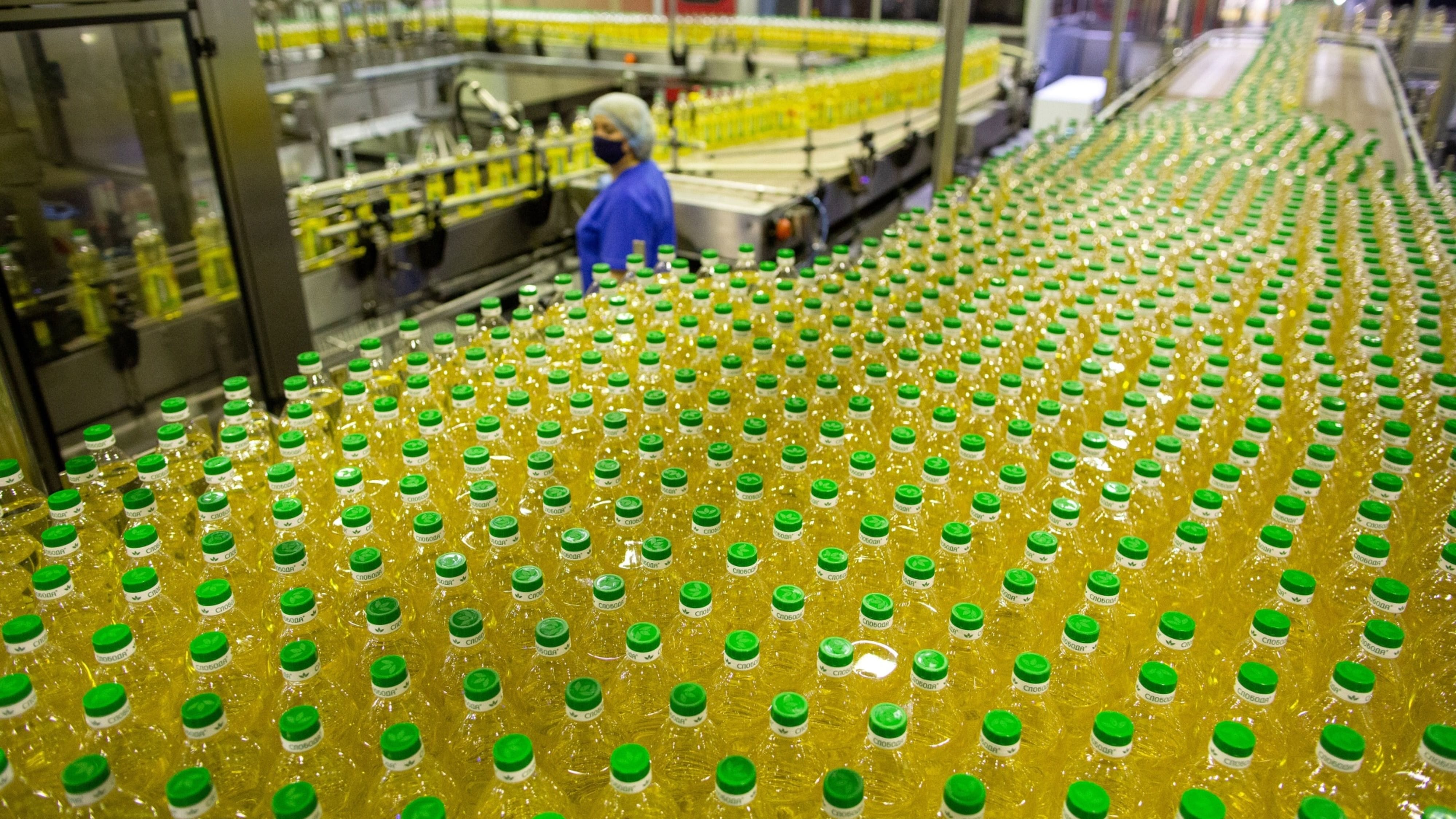 India to look at Brazil, Russia for sunflower oil as invasion threat