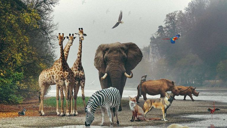 Inequality is not confined to humans. Animals are divided by privilege, too