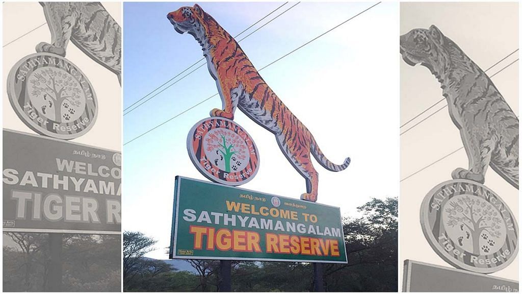 Sathyamangalam Tiger Reserve in Tamil Nadu's Erode district. | Photo: Commons