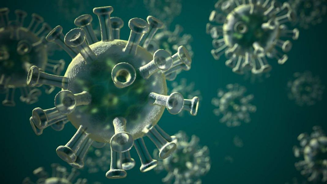 Neo-CoV is a no Cov: How 10-yr-old virus is causing needless alarm ...