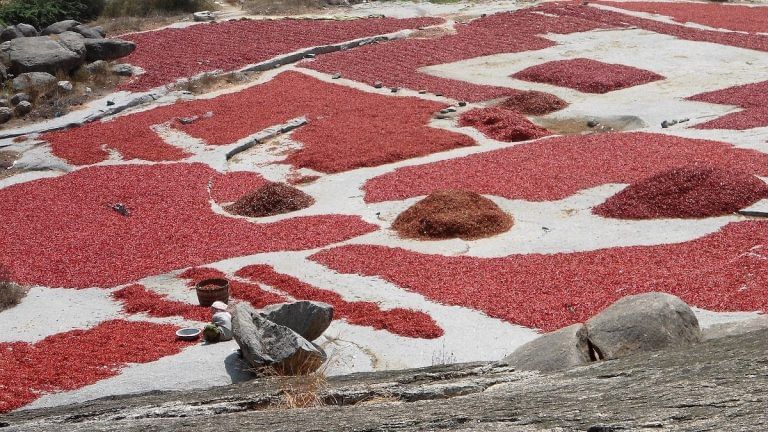China loves Guntur chillis — How the Andhra district produced a spicy global product