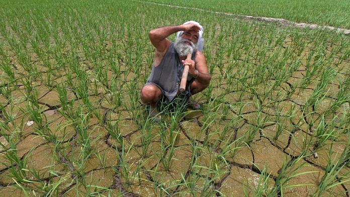 Representational image of a farmer sitting on a parched field in Patiala | ANI