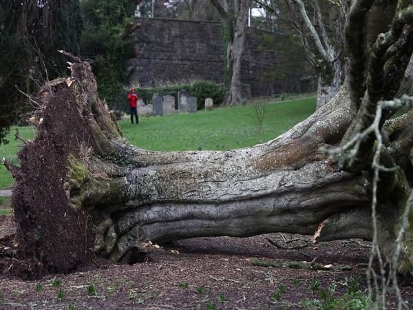4 dead in Poland as Storm Eunice wrecks havoc
