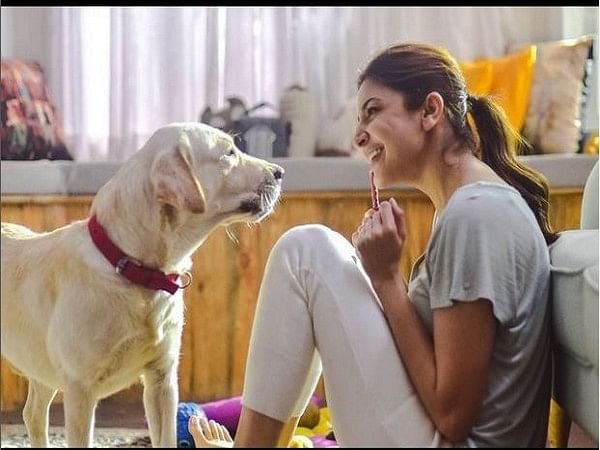 Anushka Sharma praises Delhi man for taking care of an injured stray dog