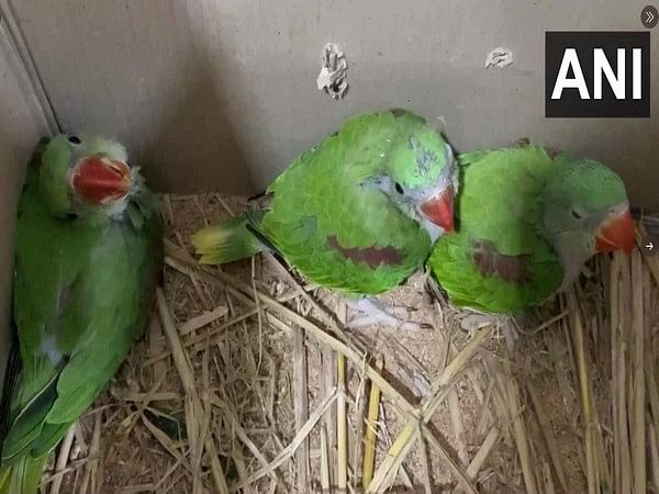 Maharashtra: Five held for smuggling endangered birds, animals from Nashik  – ThePrint – ANIFeed