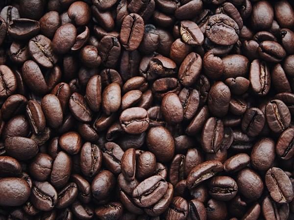 Roasting cocoa beans lessens bitterness which boosts chocolate liking, says research