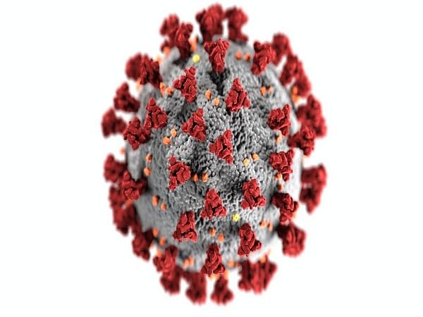 SARS-CoV2 variants emerge rapidly as virus can momentarily accelerate its evolutionary pace: Study