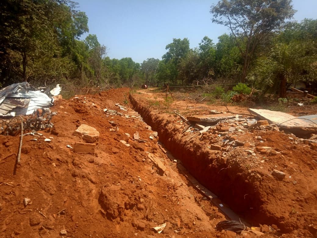 Sections of Youth Centre and Bliss Forest where trees were felled in December 2021 to make way for the 'Crown'. | Photo: Anusha Sood/ThePrint